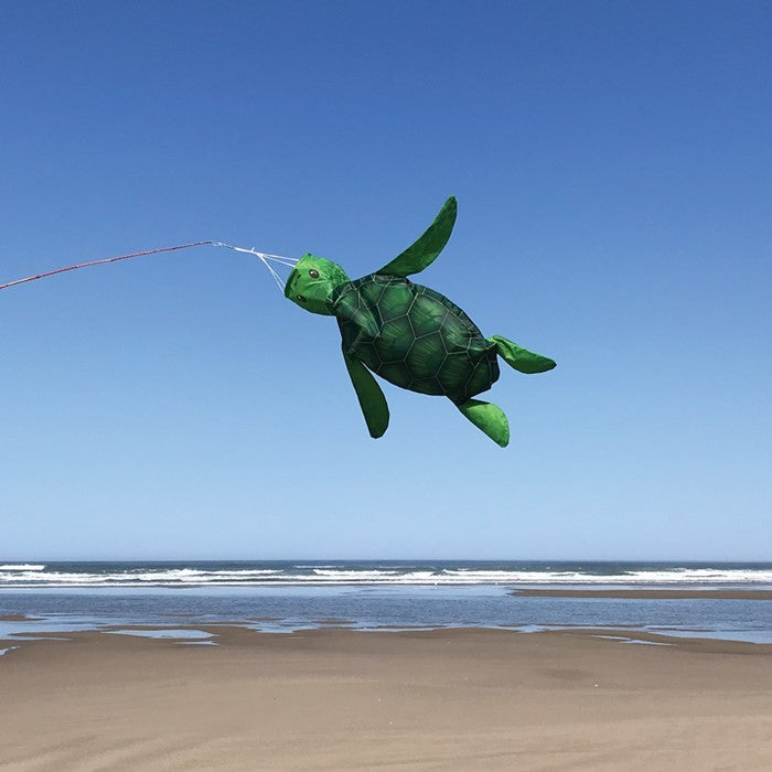 Sea Turtle 3 Dimensional Windsock