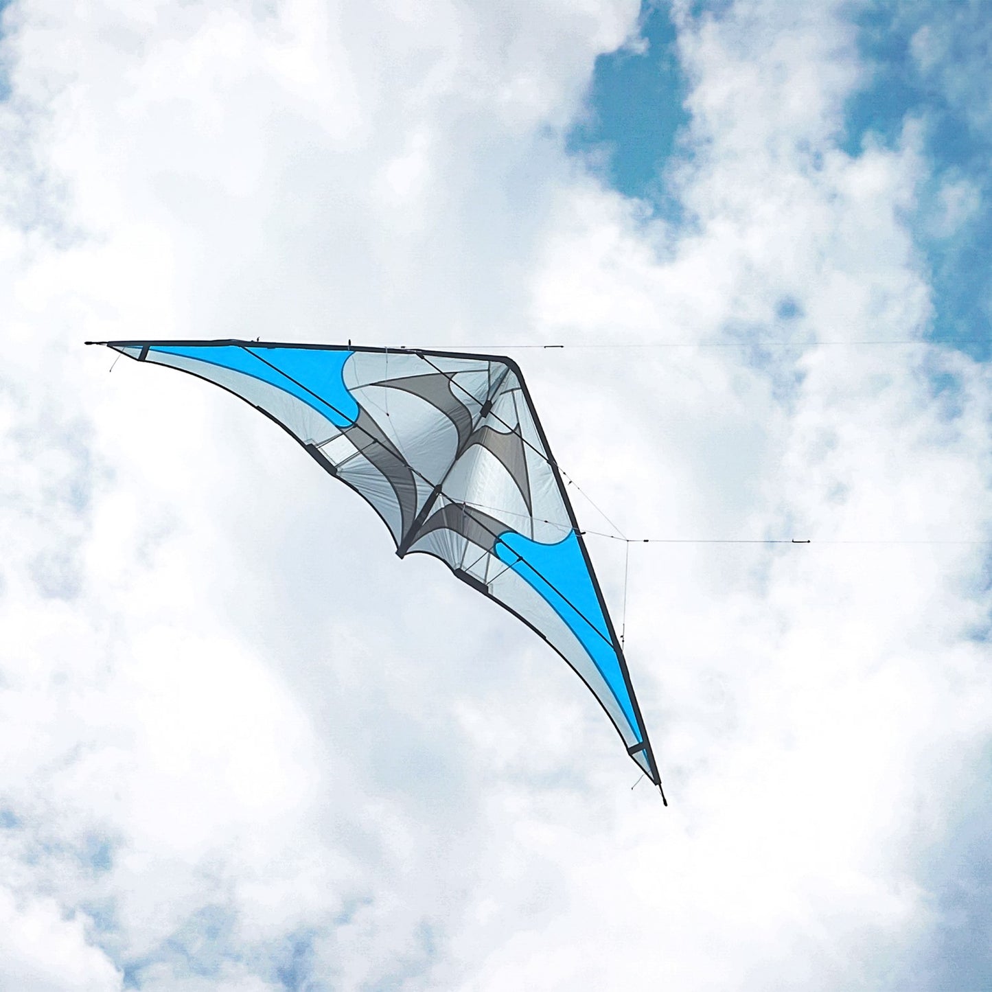 Blue Silver Fox 2.5 STD Stunt Kite