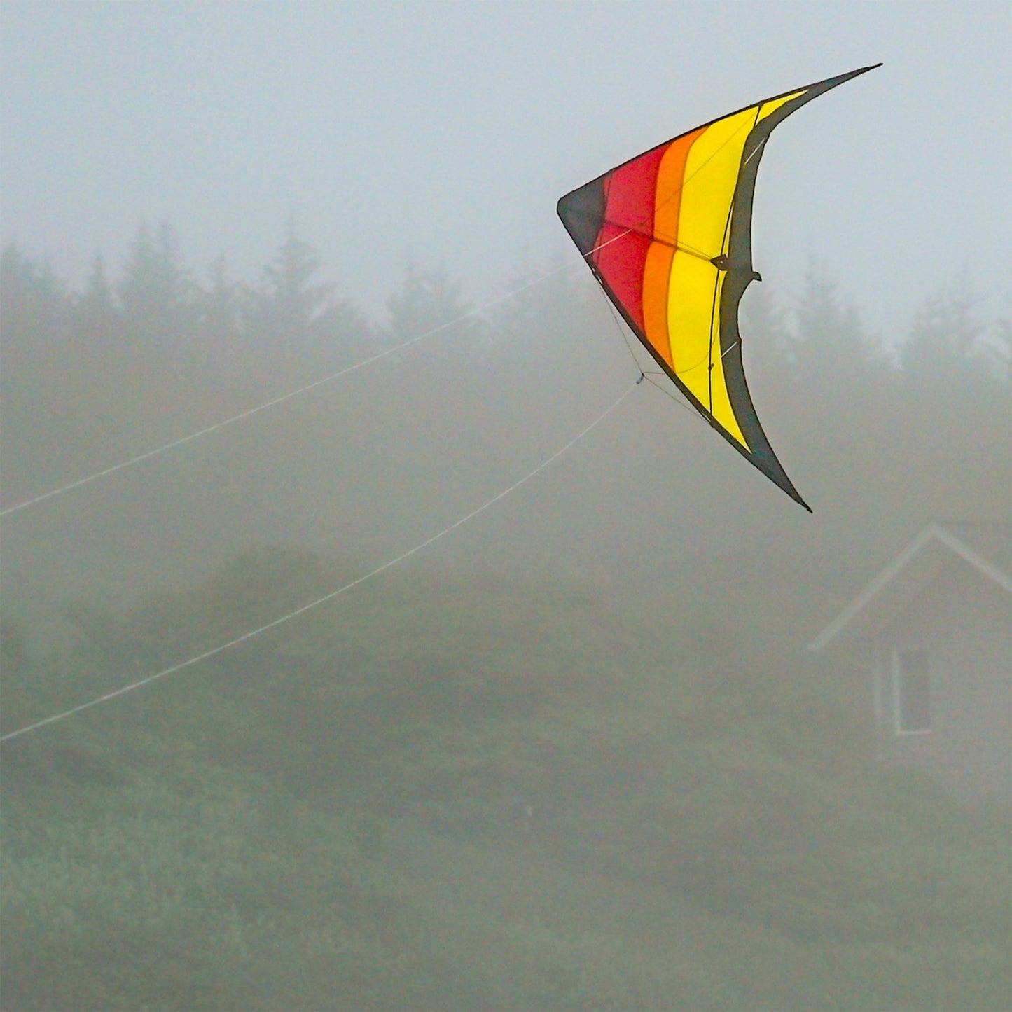 Sunset Sport Kite