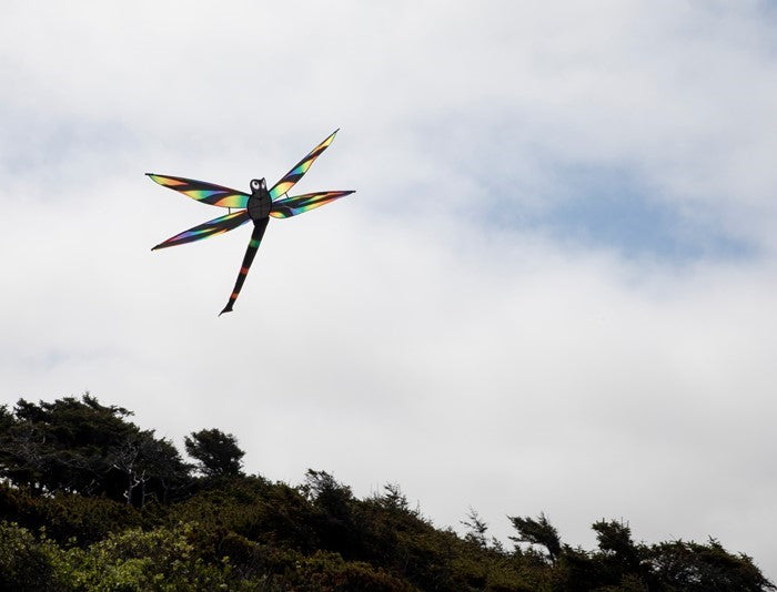 Aurora Dragonfly Kite