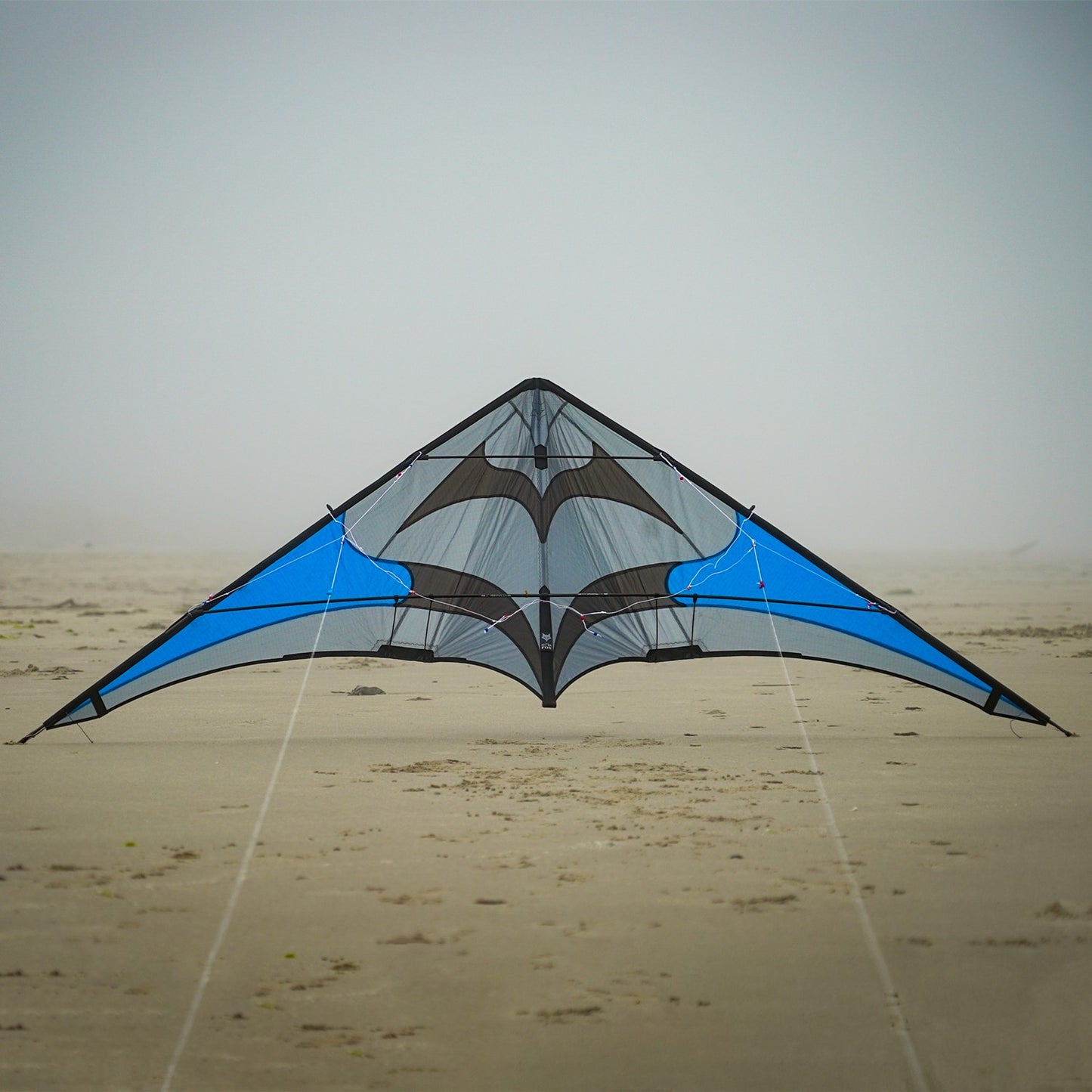 Blue Silver Fox 2.5 STD Stunt Kite