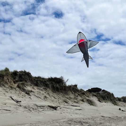 3D Grey Shark Kite