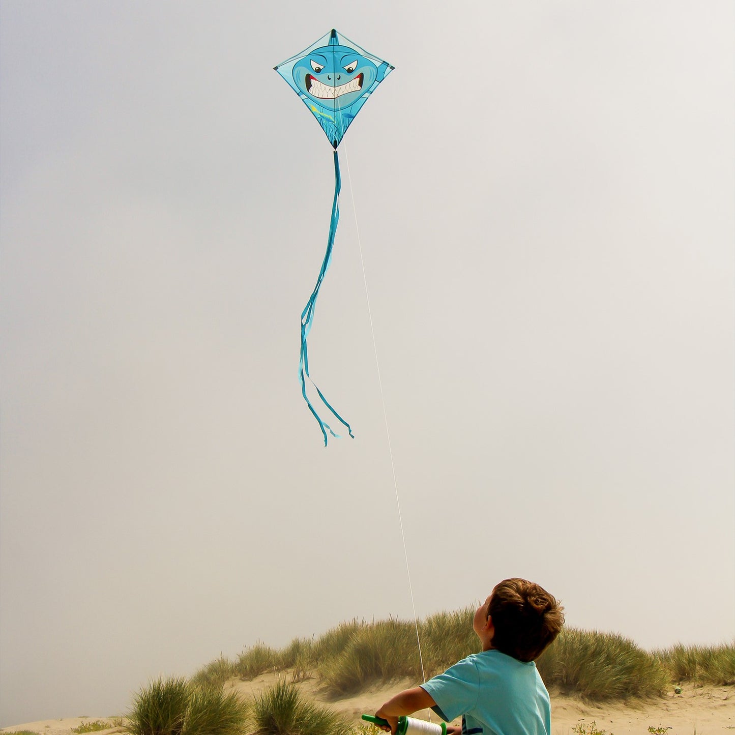 Shark Diamond Kite