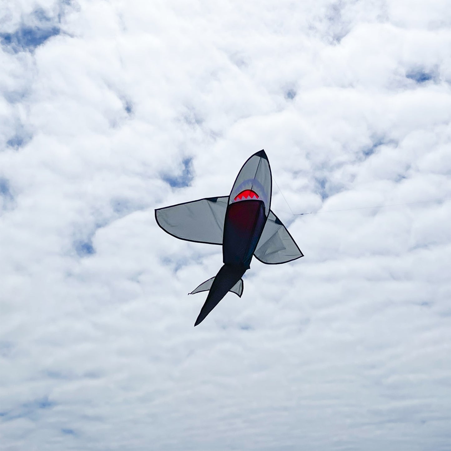 3D Grey Shark Kite